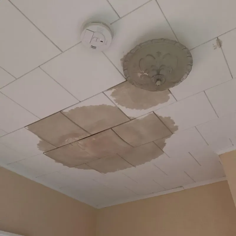 Ceiling Water Damage Repair in Russells Point, OH