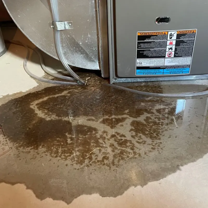 Pipe Burst and Leak Restoration in Russells Point, OH