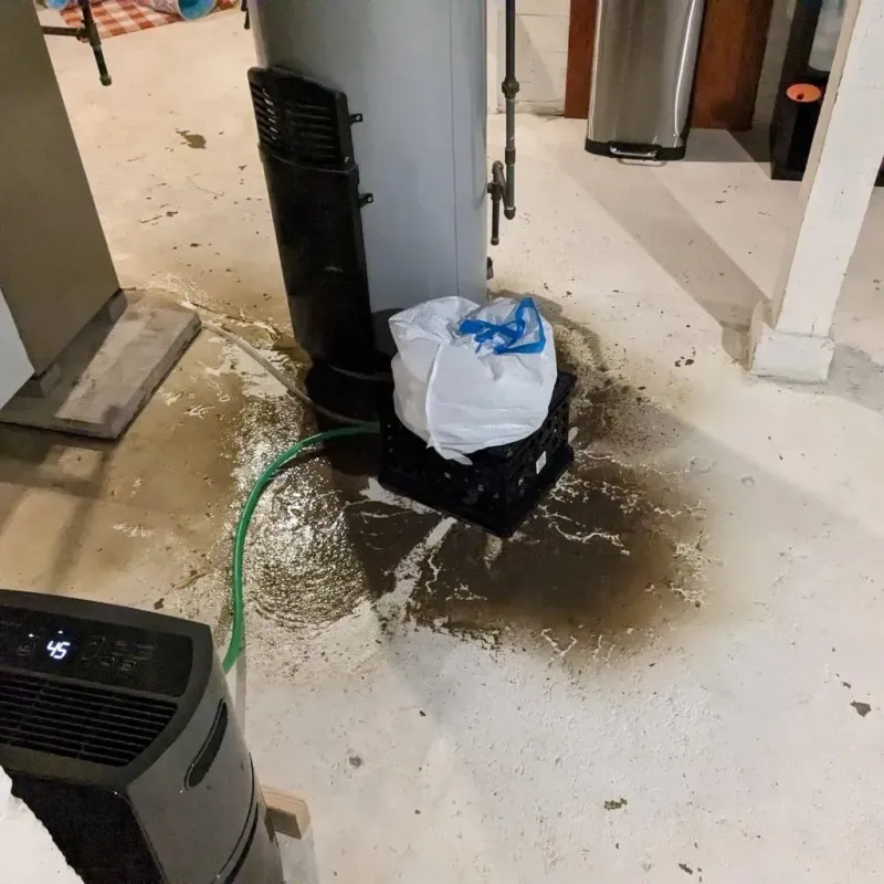 Sewage Backup Cleanup Service in Russells Point, OH